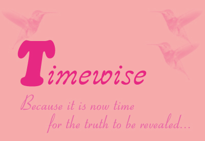 Link to Timewise page