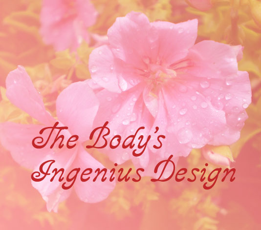 Body's Ingenius Design