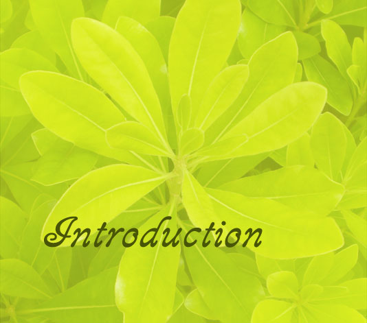 GreenBackground Link to Introduction